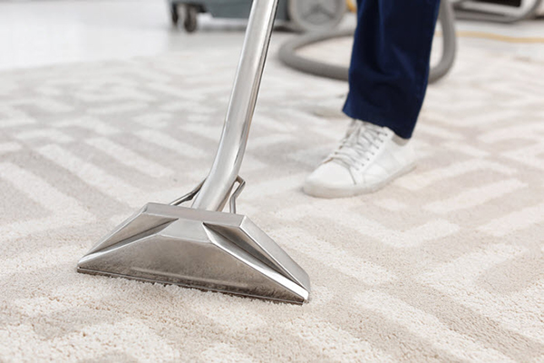 carpet-extractor-head-700w.jpg